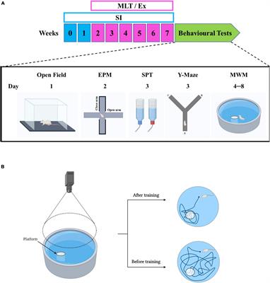 The Effect of Melatonin and Exercise on Social Isolation-Related Behavioral Changes in Aged Rats
